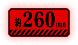 約260mm