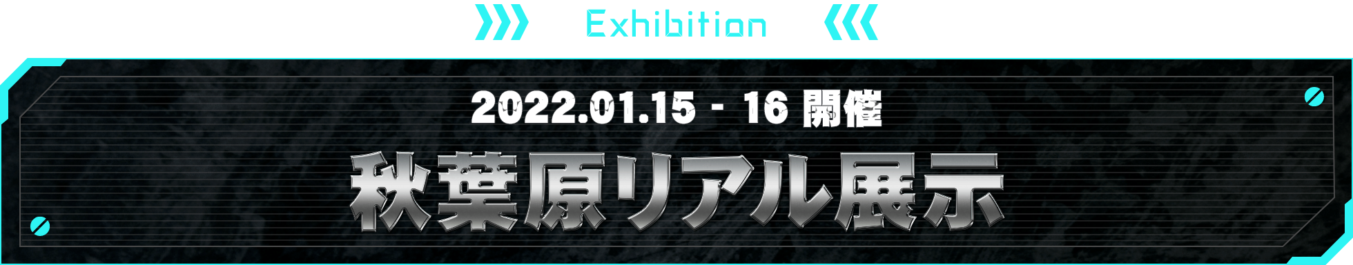 EXHIBITION 秋葉原リアル展示