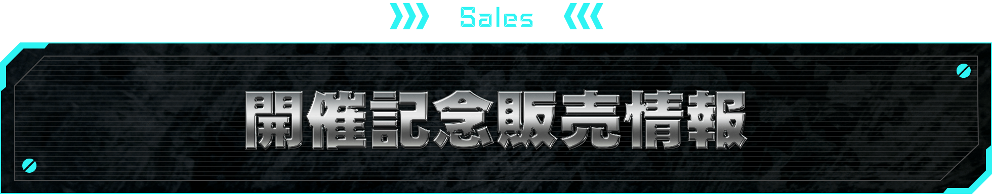 SALES 開催記念販売情報